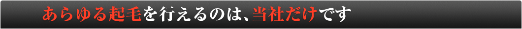あらゆる起毛を行えるのは、当社だけです